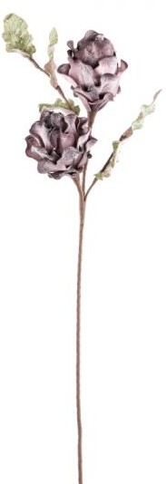 product-info-overview-image