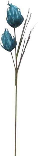 product-info-overview-image