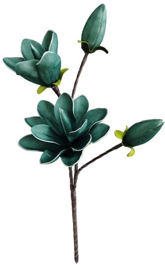 product-info-overview-image
