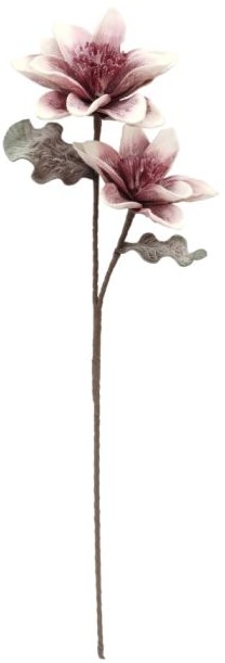 product-info-overview-image