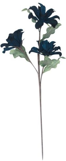 product-info-overview-image