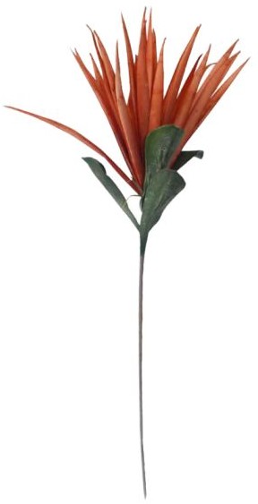 product-info-overview-image