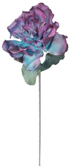 product-info-overview-image