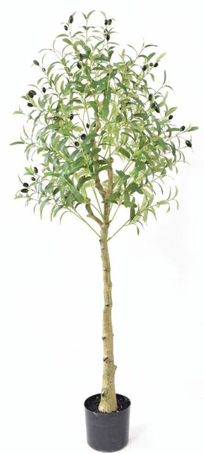 product-info-overview-image