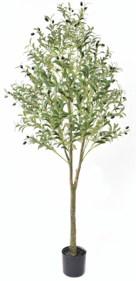 product-info-overview-image