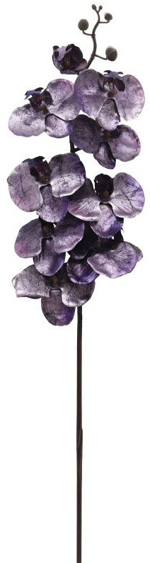 product-info-overview-image