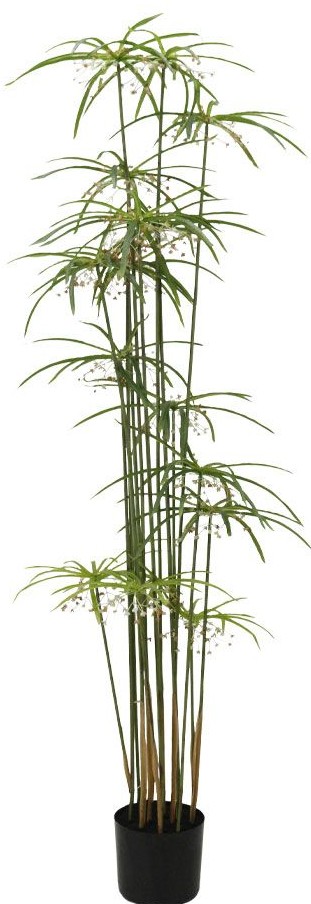 product-info-overview-image