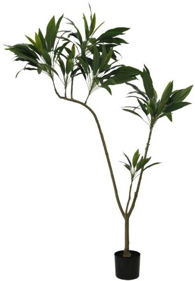 product-info-overview-image