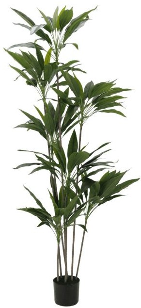 product-info-overview-image