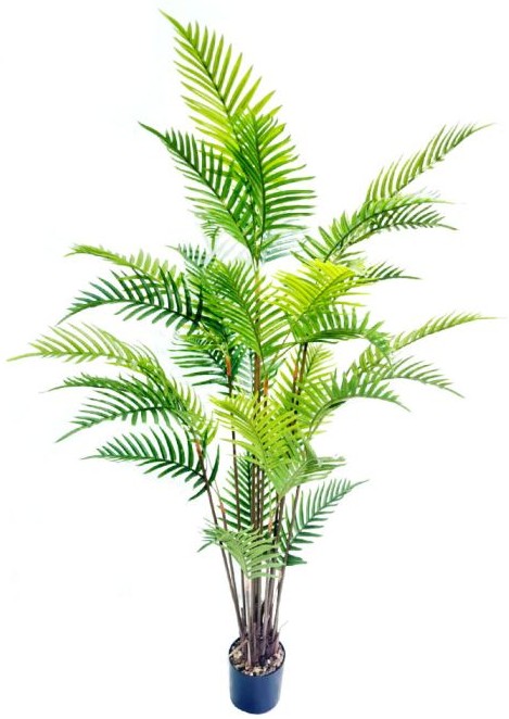 product-info-overview-image