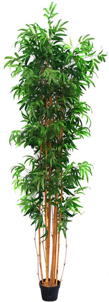 product-info-overview-image