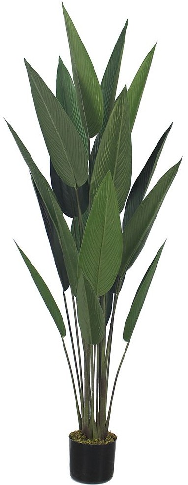 product-info-overview-image
