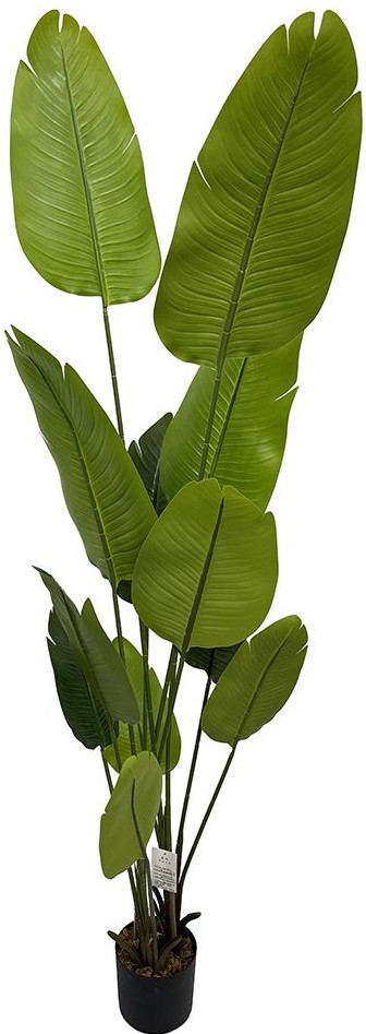 product-info-overview-image