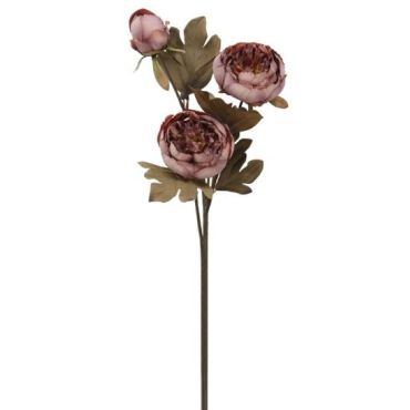 Διακοσμητικό λουλούδι Peony 65