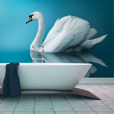 Φωτοταπετσαρία - swan - reflection