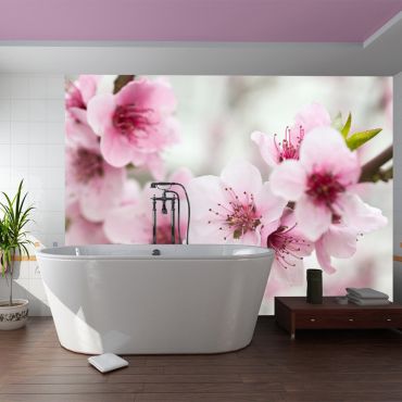 Φωτοταπετσαρία - Spring, blooming tree - pink flowers