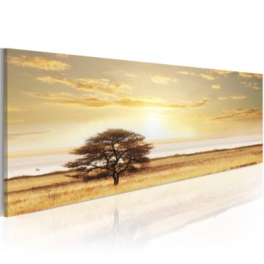 Πίνακας - Lonely tree on savannah 120x40