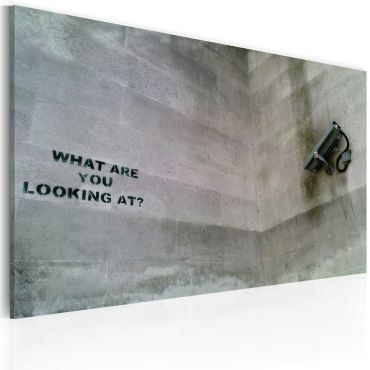 Πίνακας - What are you looking at? (Banksy) 60x40