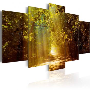 Πίνακας - Forest in the Sunlight