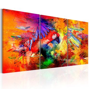 Πίνακας - Colourful Parrot