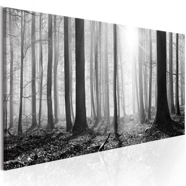 Πίνακας - Black and White Forest