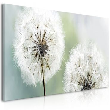 Πίνακας - Fluffy Dandelions (1 Part) Green Wide 100x45