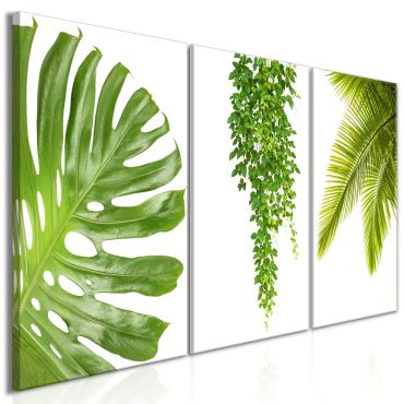 Πίνακας - Beautiful Palm Trees (3 Parts) 120x60