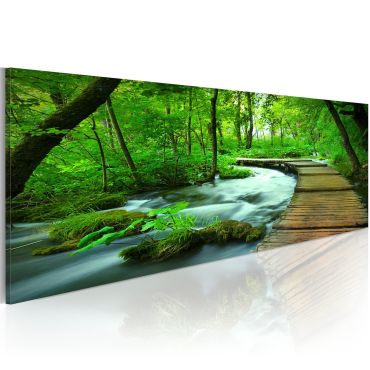 Πίνακας - Forest broadwalk 135x45