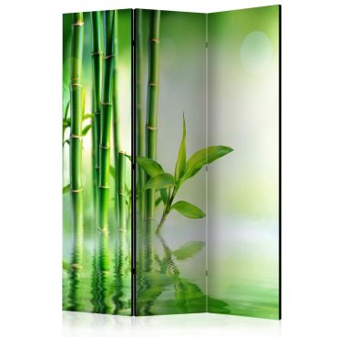 Διαχωριστικό με 3 τμήματα - Green Bamboo [Room Dividers] 135x172