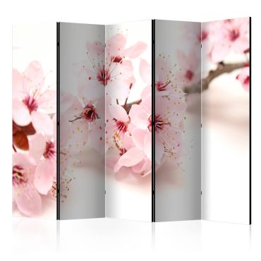 Διαχωριστικό με 5 τμήματα -  Cherry Blossom II [Room Dividers] 225x172