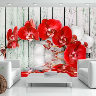 Φωτοταπετσαρία - Ruby orchid