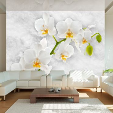 Φωτοταπετσαρία - Lyrical orchid - White