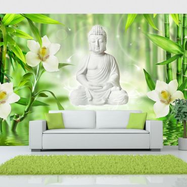 Φωτοταπετσαρία - Buddha and nature