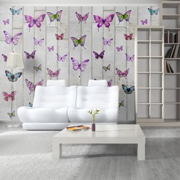 Φωτοταπετσαρία - Butterflies and Concrete 50x1000