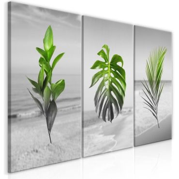 Πίνακας - Plants (Collection)