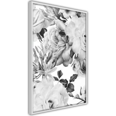 Αφίσα - Black and White Nature