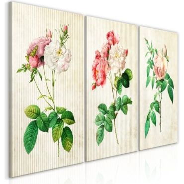 Πίνακας - Floral Trio (Collection)