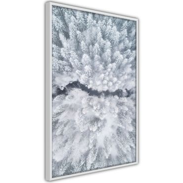 Αφίσα - Winter Forest From a Bird's Eye View