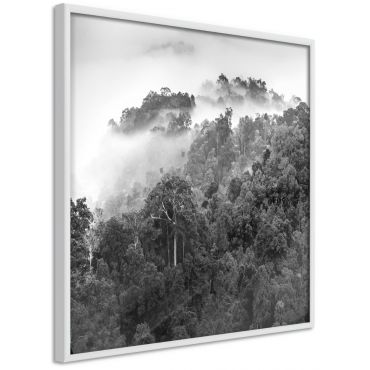 Αφίσα - Foggy Forest