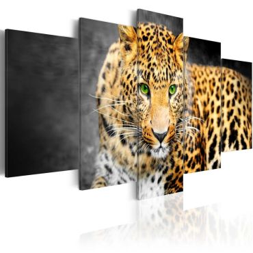 Πίνακας - Green-eyed leopard