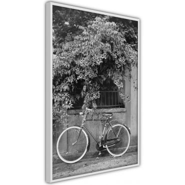Αφίσα - Bicycle with White Tires
