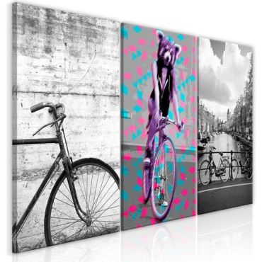 Πίνακας - Bikes (Collection)