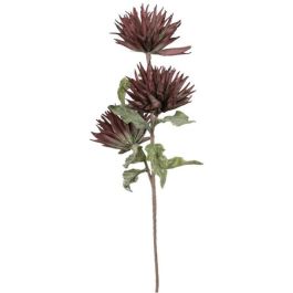 Διακοσμητικό λουλούδι Brown 1