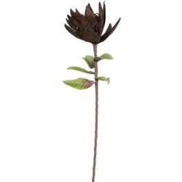 Διακοσμητικό λουλούδι Brown 2