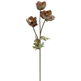 Διακοσμητικά λουλούδια Pulsatilla