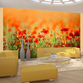 Φωτοταπετσαρία - Poppies in shiny summer day 450x270