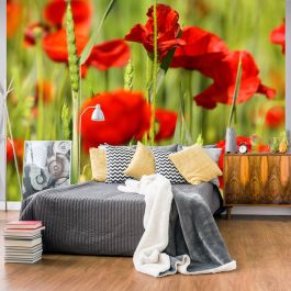 Φωτοταπετσαρία - Cereal field with poppies