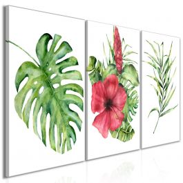 Πίνακας - Red Hibiscus (3 Parts) 120x60