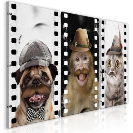 Πίνακας - Funny Pets (Collection)