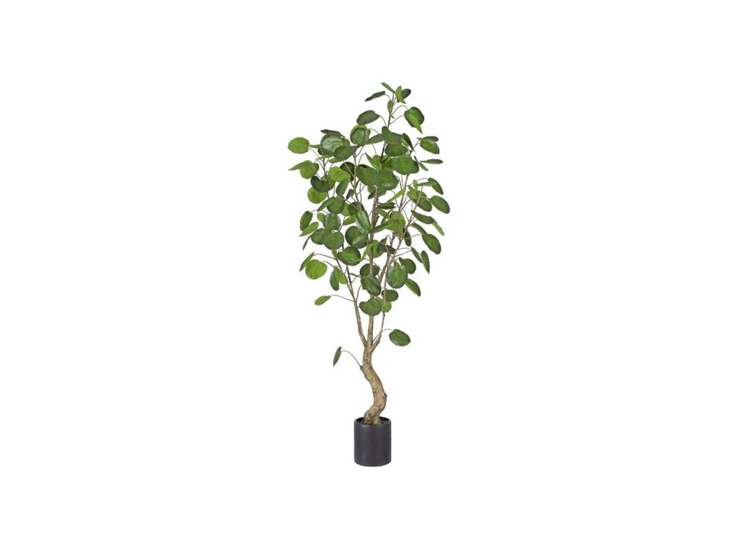 add-to-cart-sticky-tocart-image